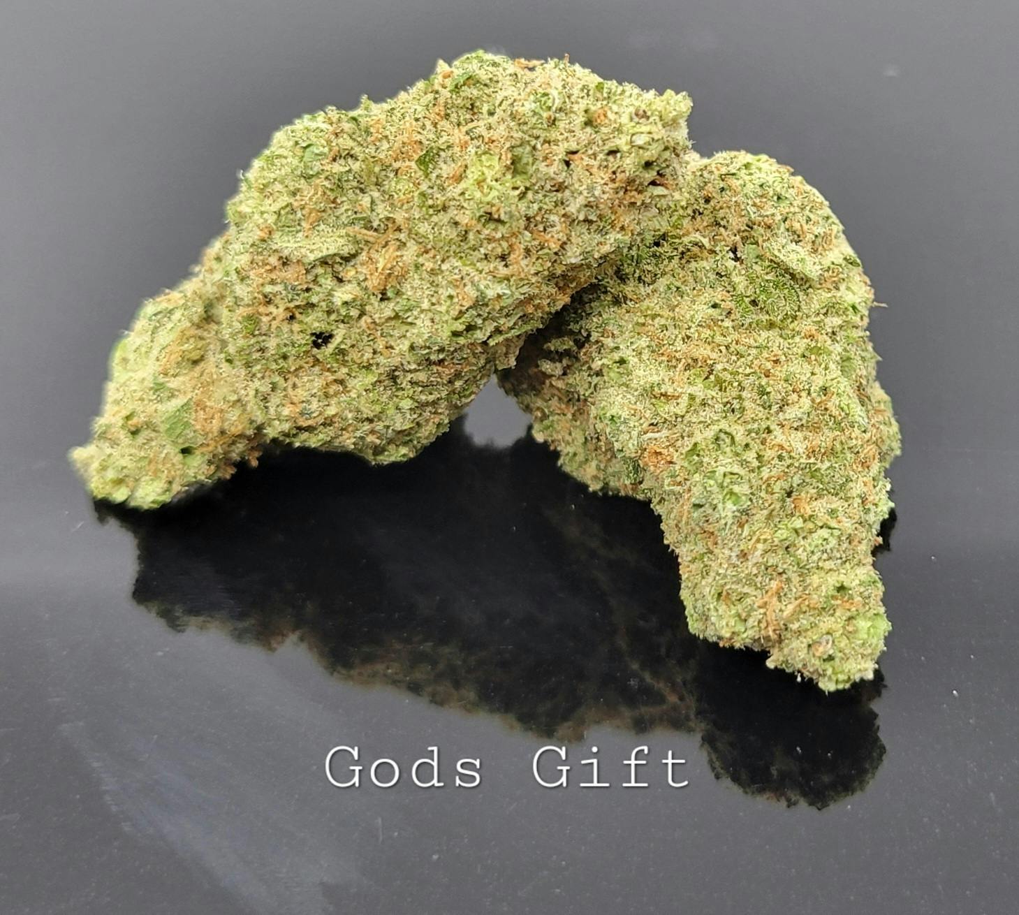 Del Mundo Gods Gift