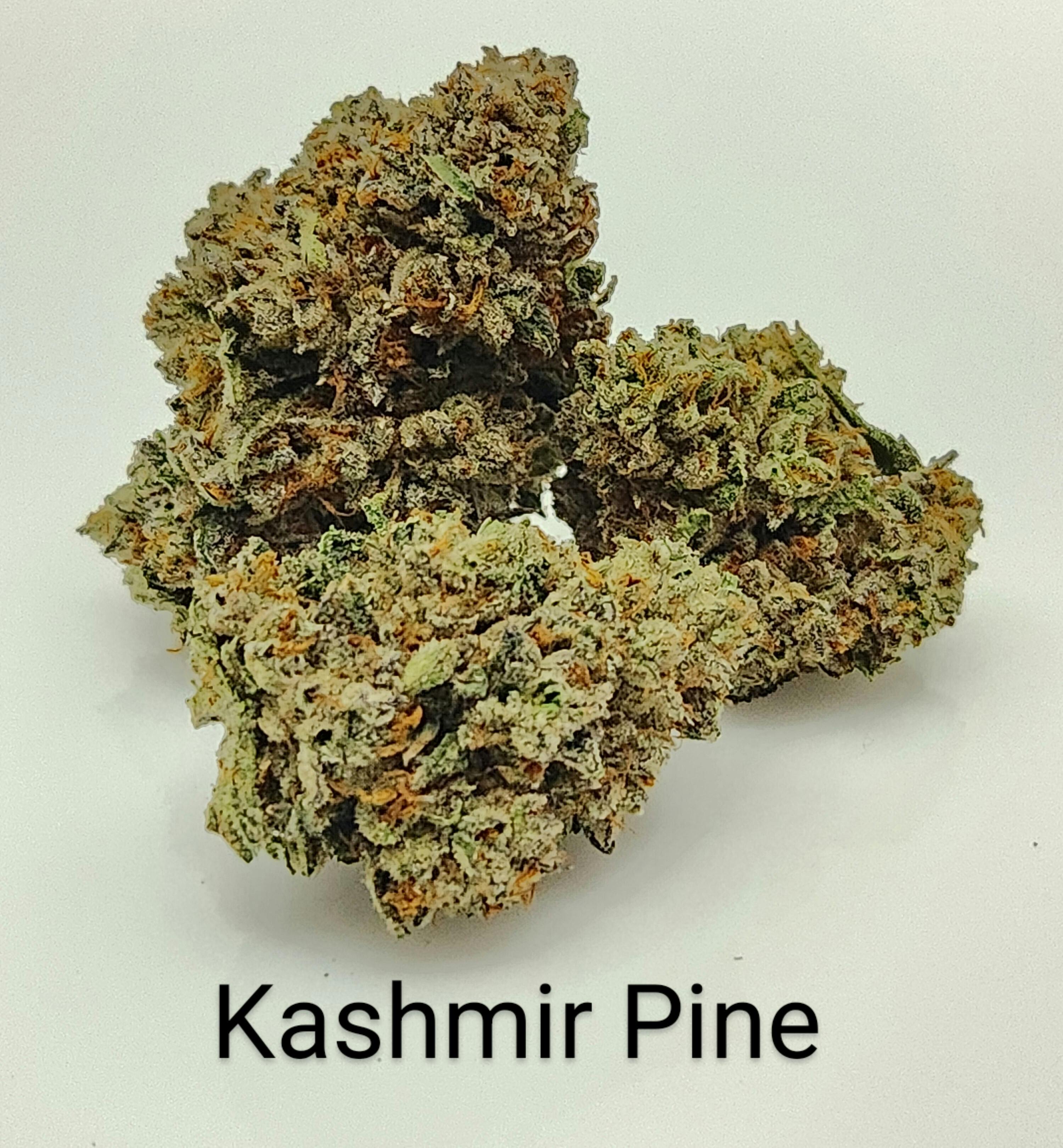Del Mundo Kashmir Pine