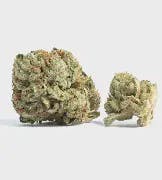 WHITE CHERRY GELATO: White Cherry Gelato B's