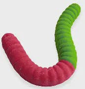 Oregon Huckleberry: 2 Piece Worms