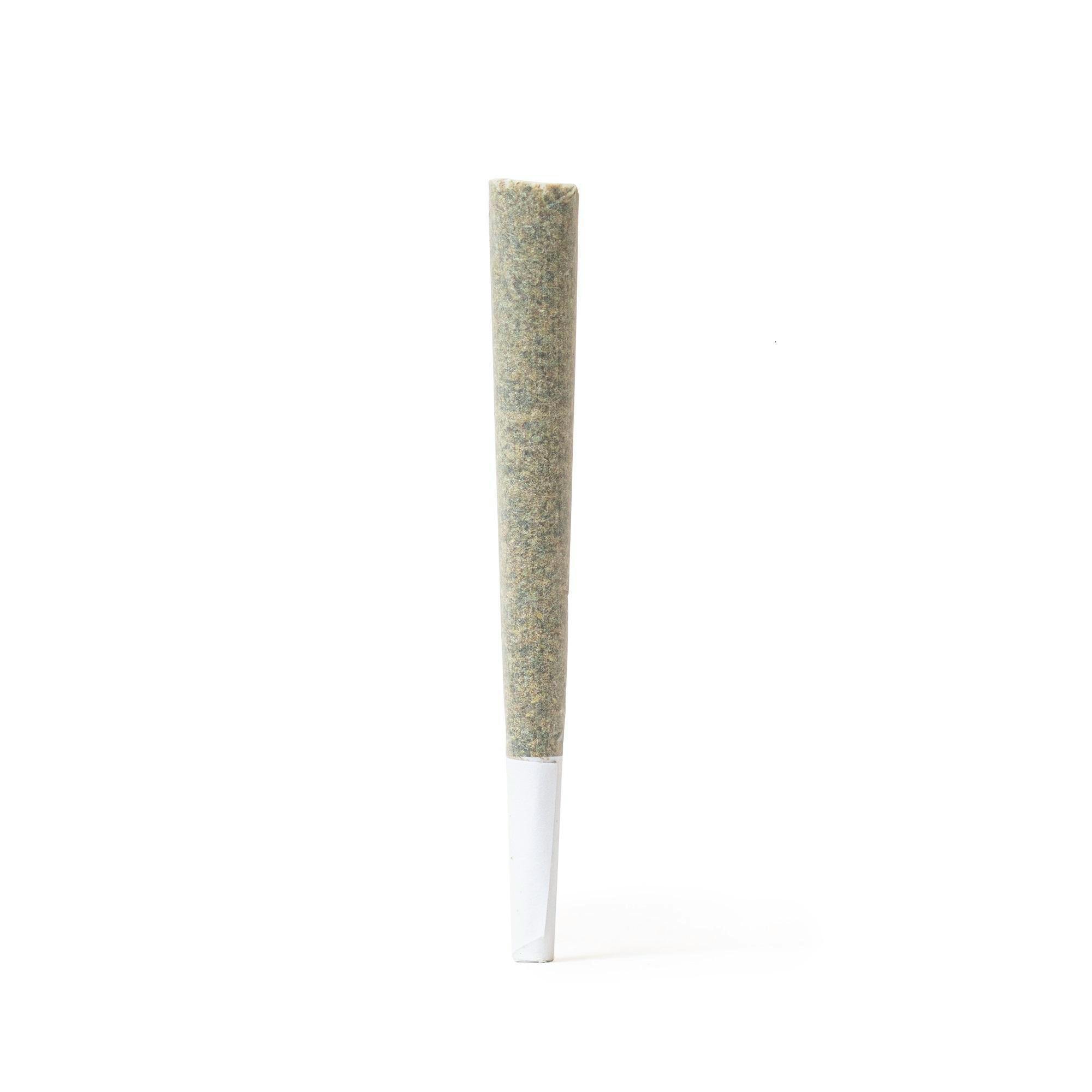 Georgia Pie: Georgia Pie 1g Distillate Infused Pre Roll