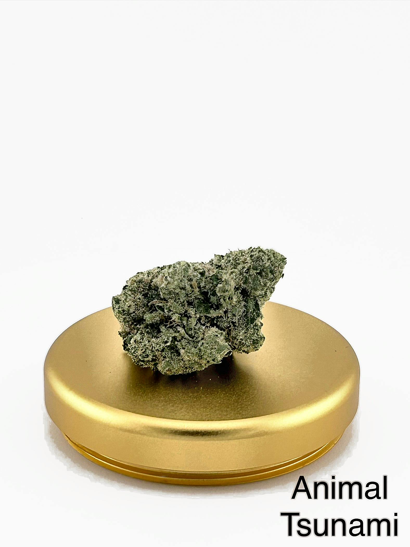 Animal: Tsunami A-buds
