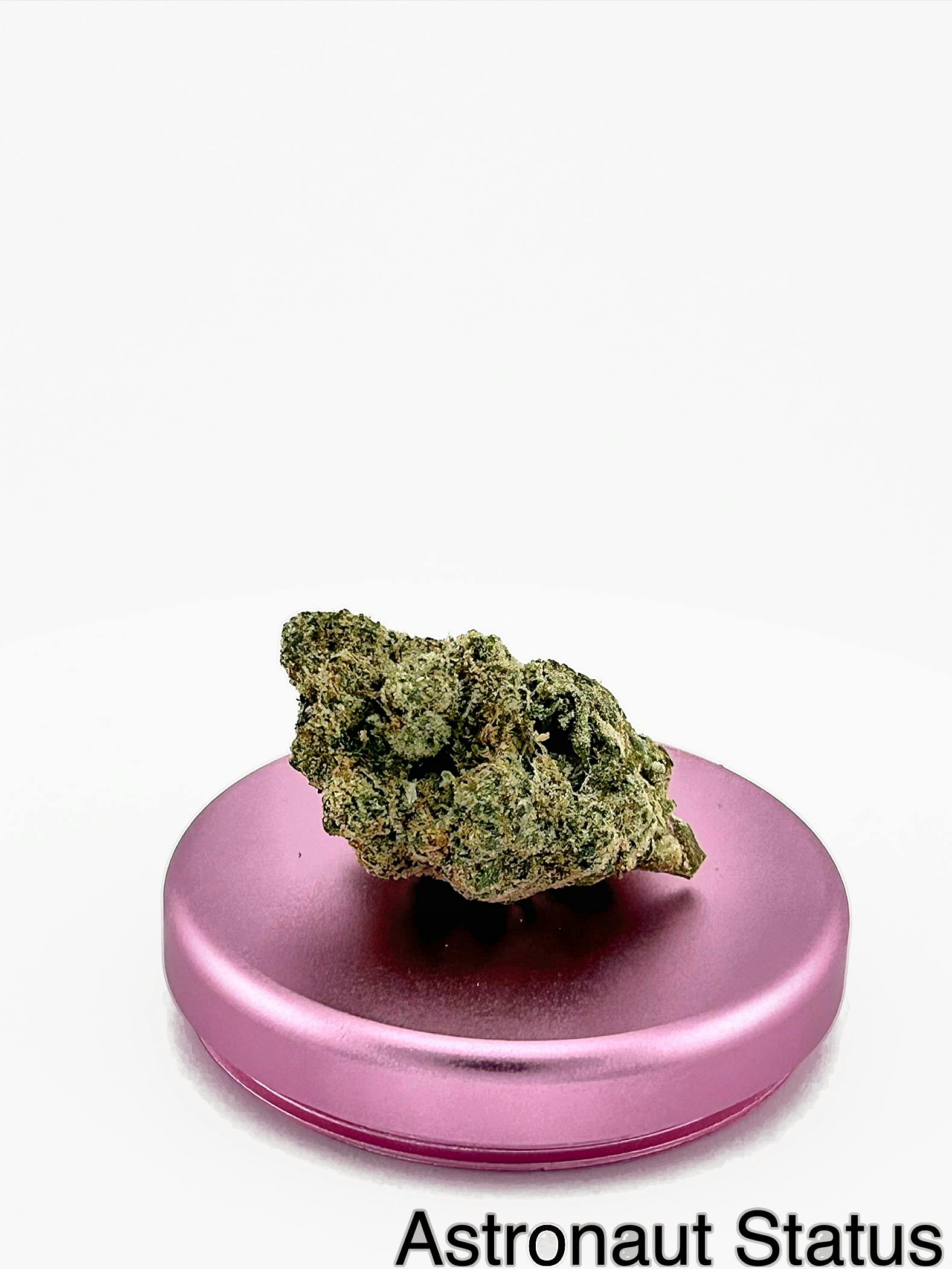 Astronaut Status: A-buds