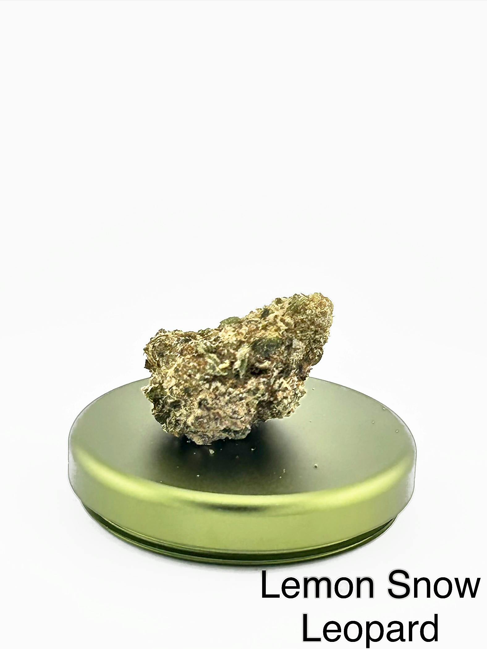 Lemon Snow Leopard: A-buds