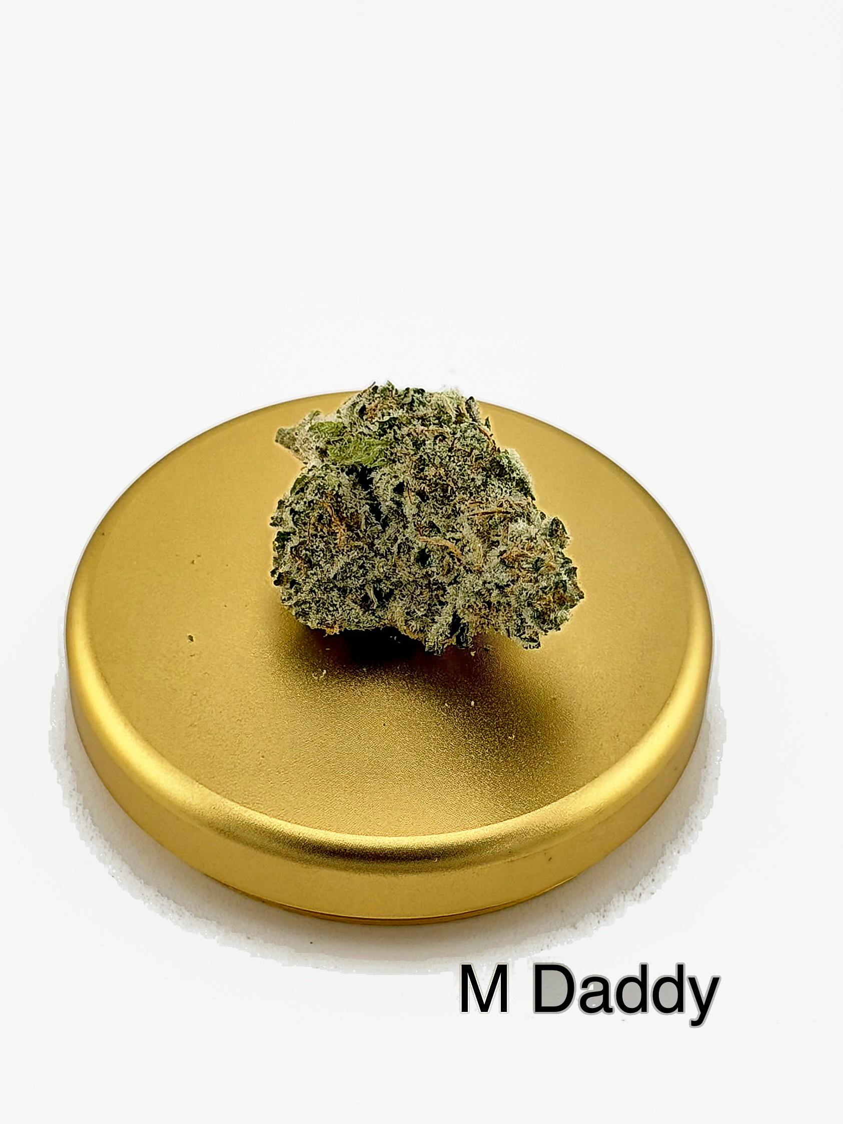 M. Daddy A-buds