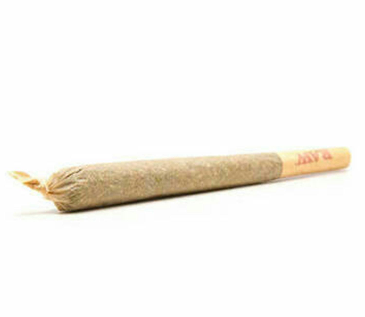 Fucking Incredible Preroll
