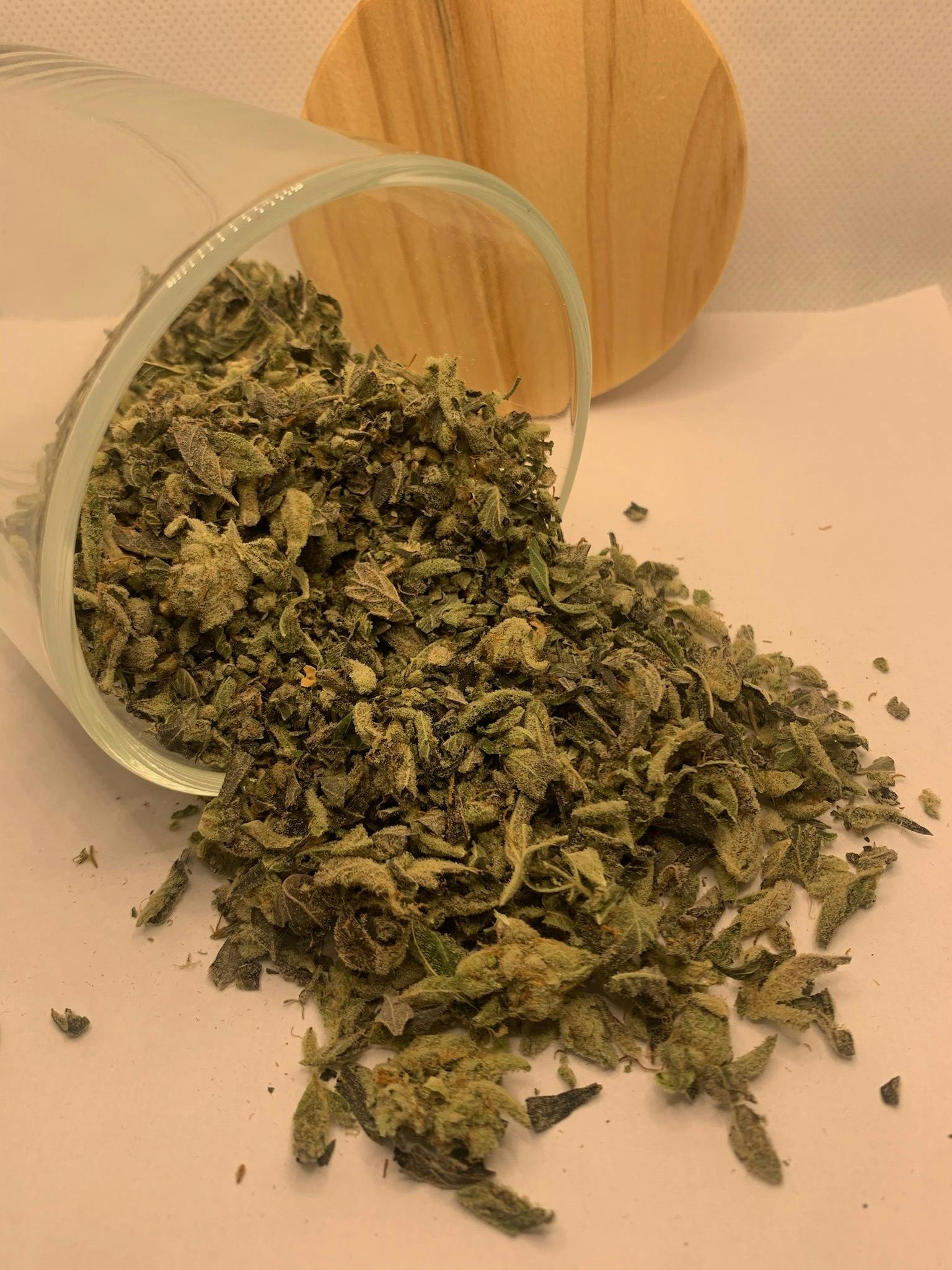 Juicee J (Shake) [Golden Bloom]