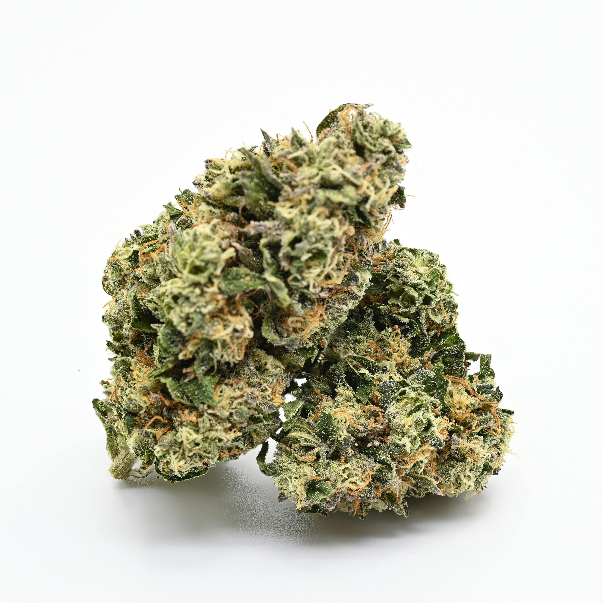 Northeast - Don Mega (3.5G)