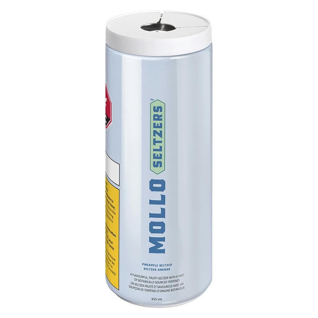 Pineapple Seltzer 355ml Beverages