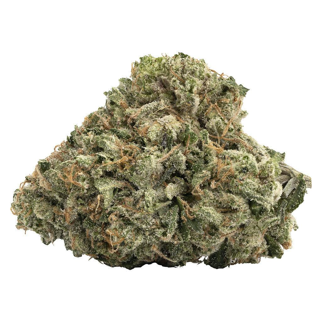 Gas Nasty (BMS x GMO) 3.5g Dried Flower