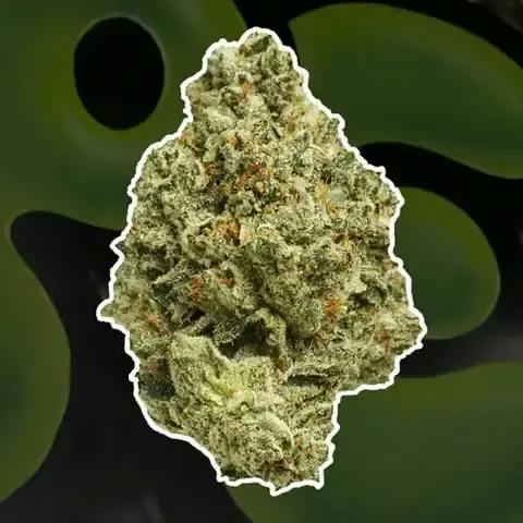 Lemon Splash 28g Dried Flower