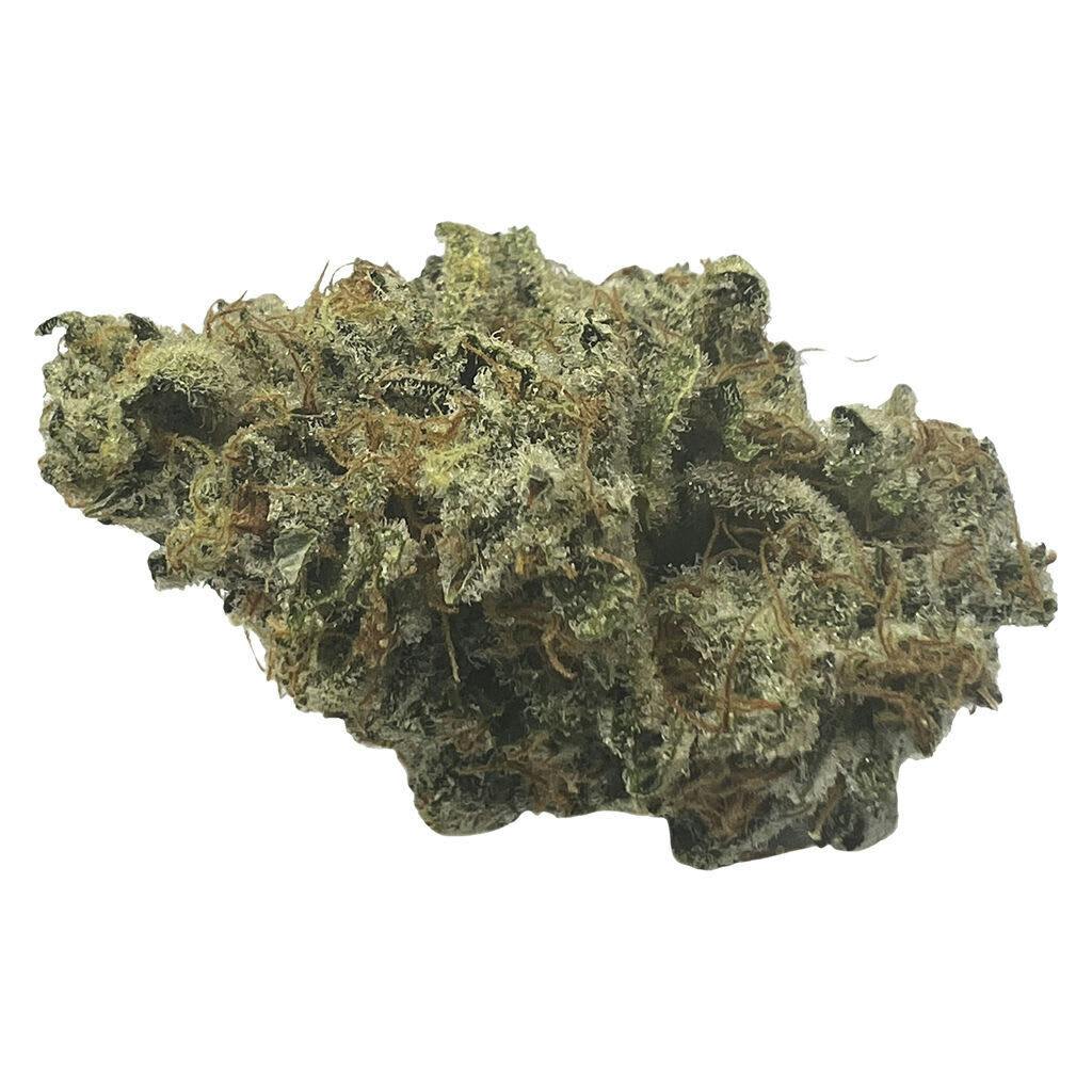Frosted Fruit Cake 7g Dried Flower
