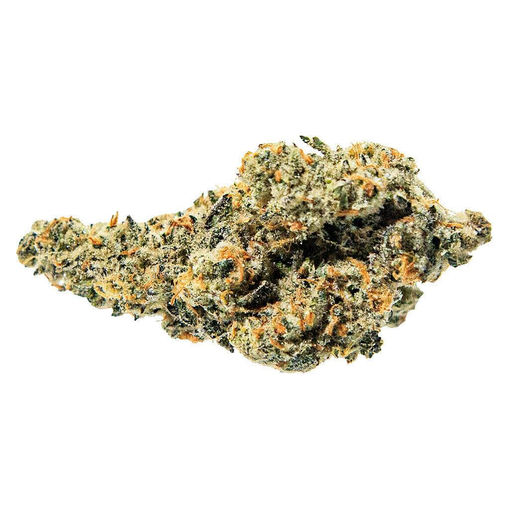 Tropical Meltdown 3.5g Dried Flower