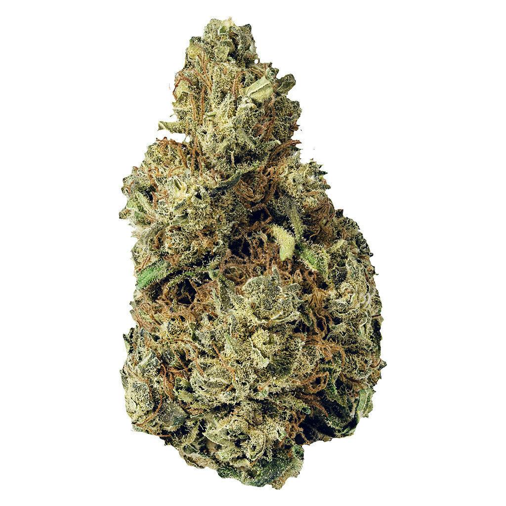 Resting Gas Face 3.5g Dried Flower