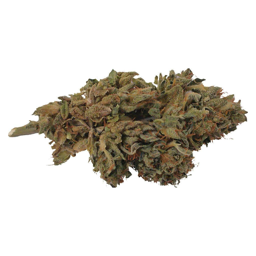 Ambassador Organic Craft CBD Flower 7g Dried Flower