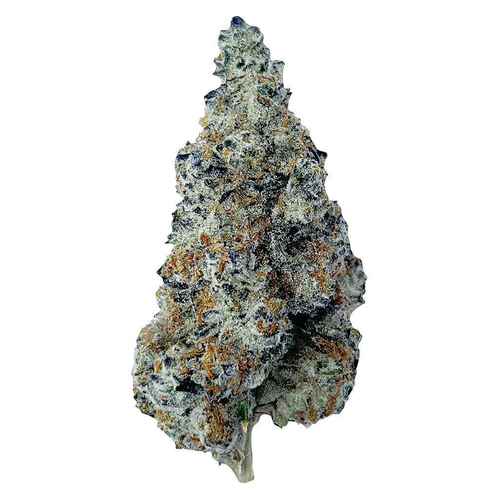Slurriboof Whole Flower 7g Dried Flower