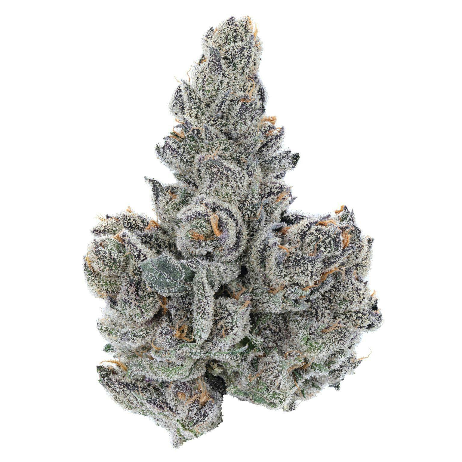 Gastro Pop Ultra 3.5g Dried Flower