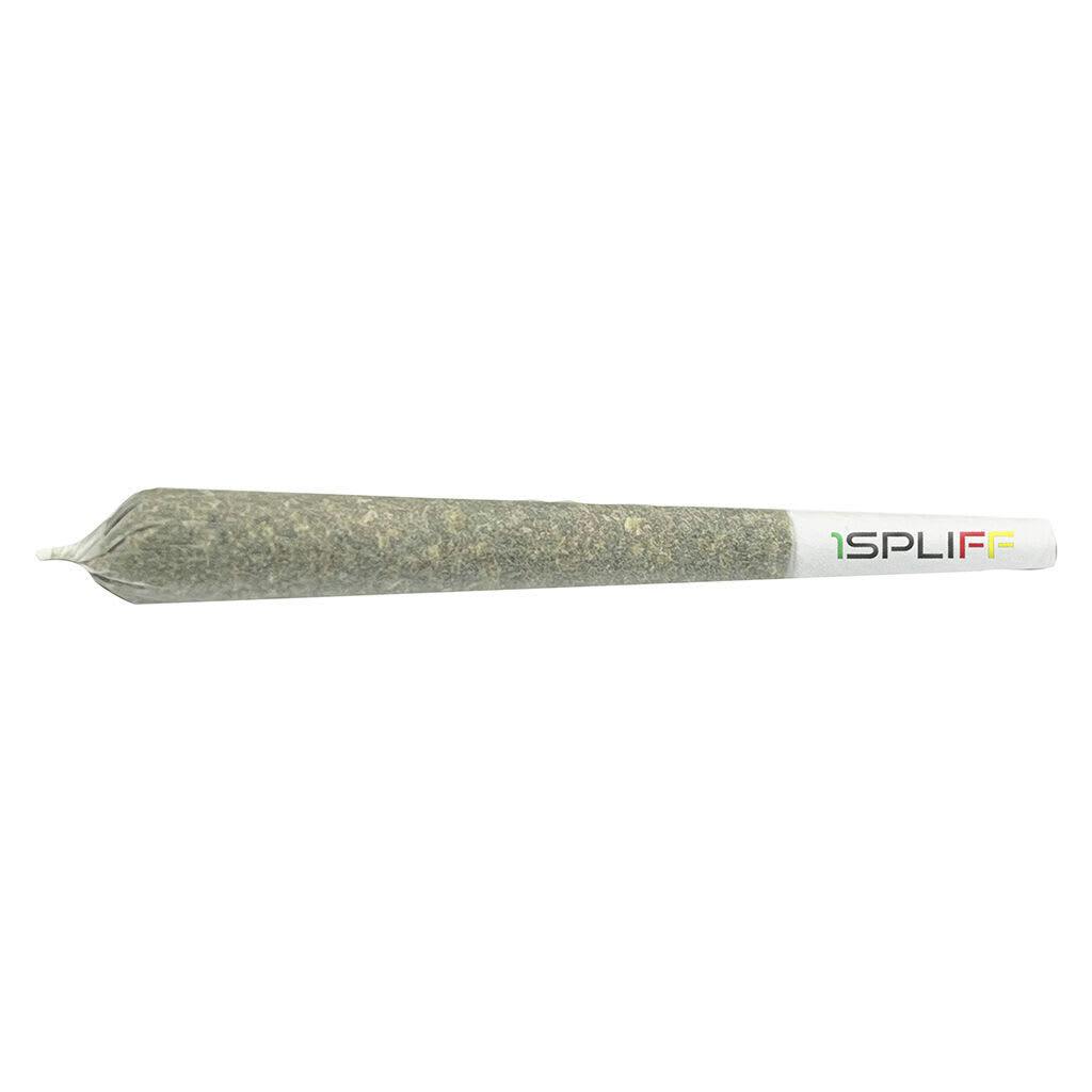 Spliff Caddy Pre-Roll 20x1g Pre-Rolls