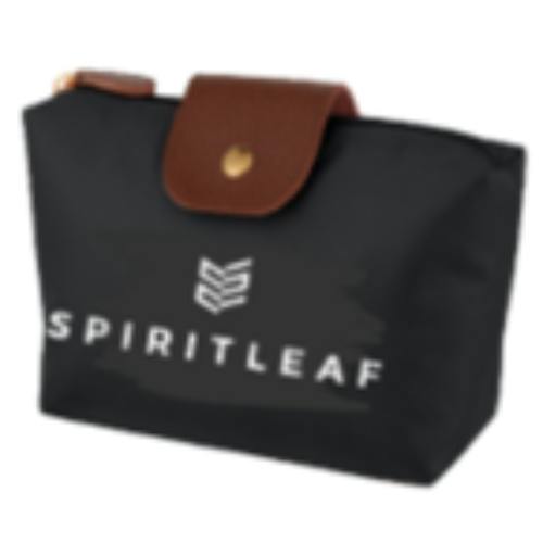 Cosmetics Vanity Bag