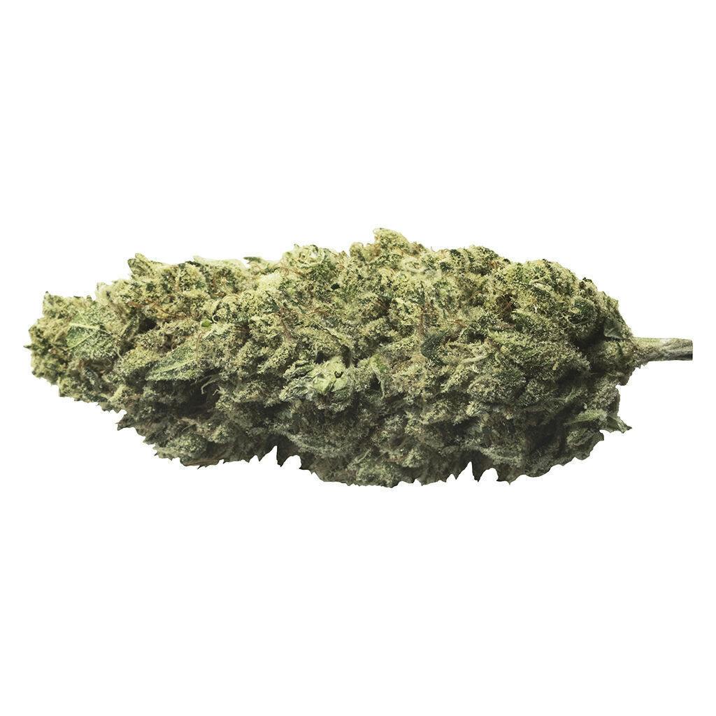 Skywalker Haze