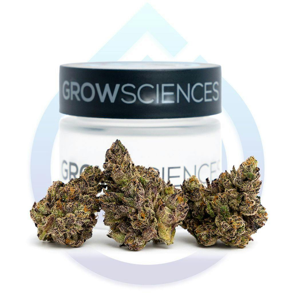 Grow Sciences Bananaconda 3.5g Flower