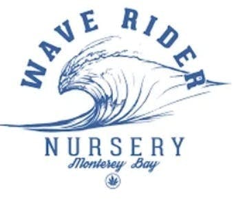 Lemon Zest 5pk Hash Infused