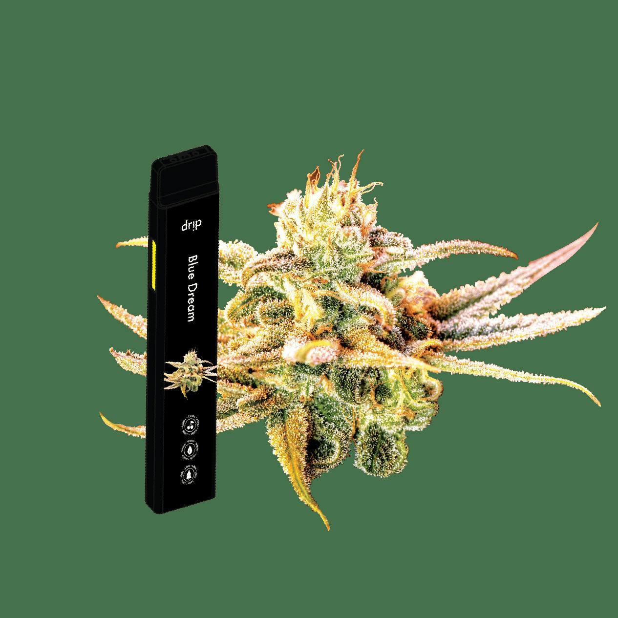 Drip - Granddaddy Purp 2g AIO Disposable