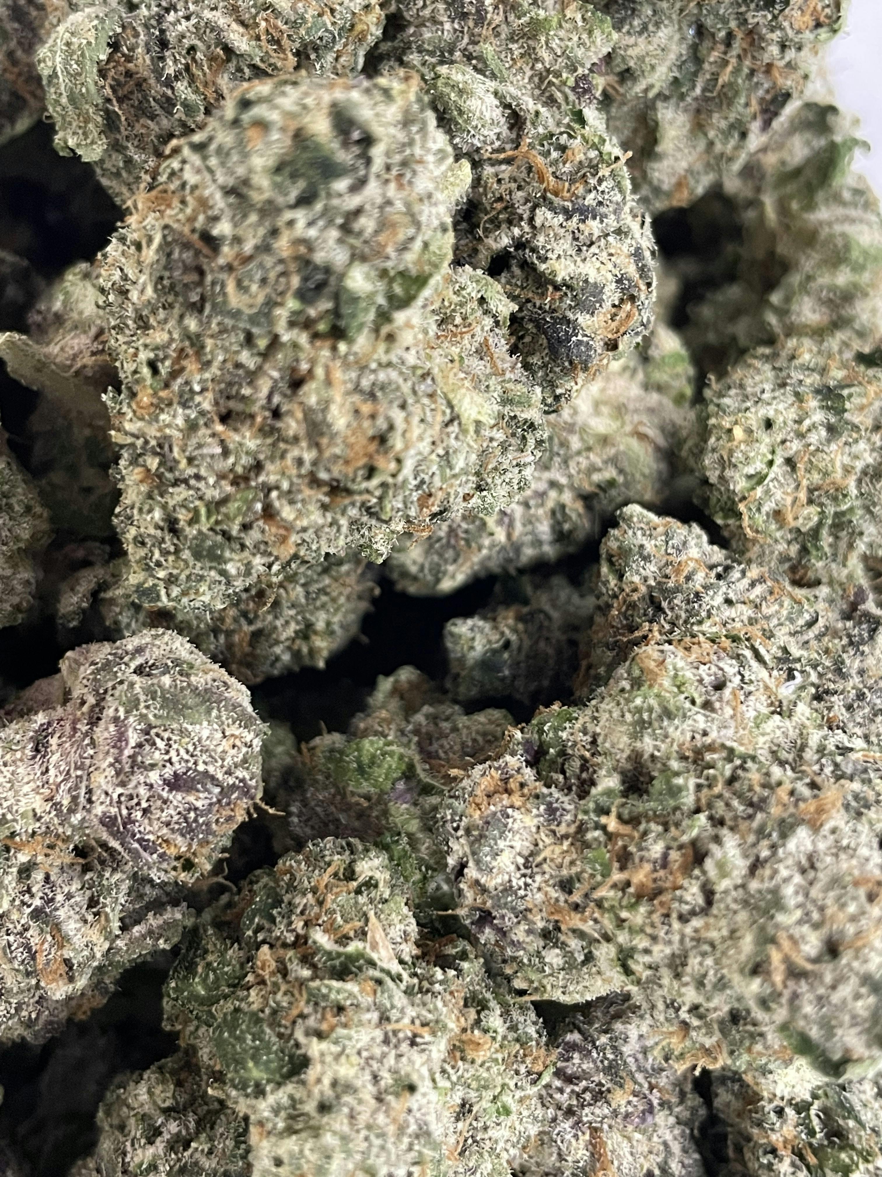 Fire Tier - Grown Rogue - Bacio Gelato Bulk Buds
