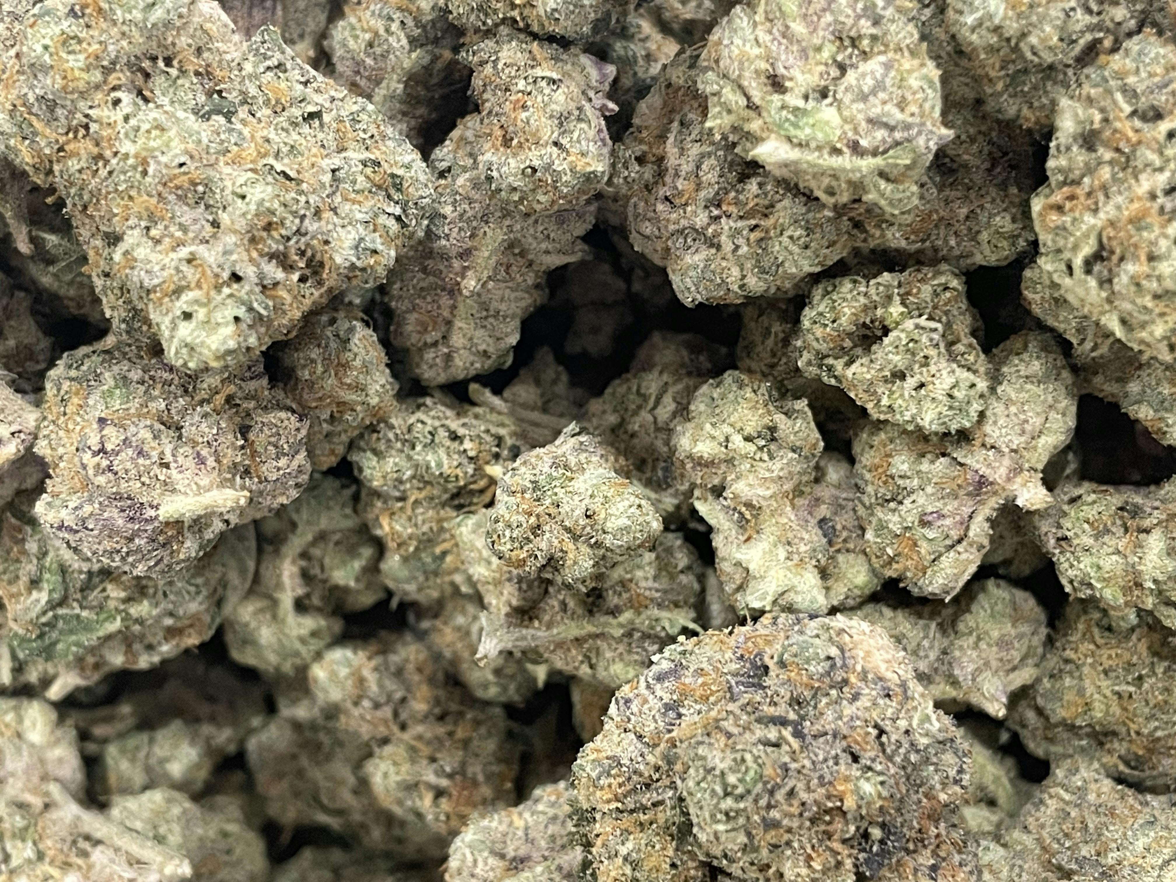 ZaZa Tier - YUM YUM - Fruit Loops Bulk Buds