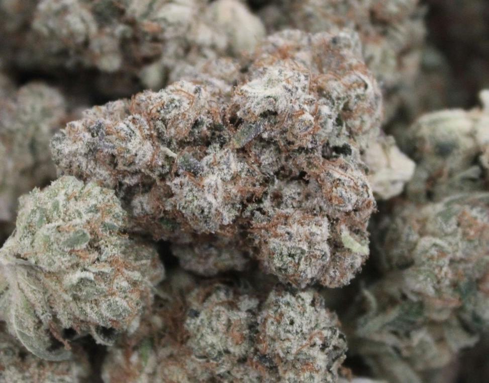 Loud Tier - Hp Labs - Red Pop Bulk Buds