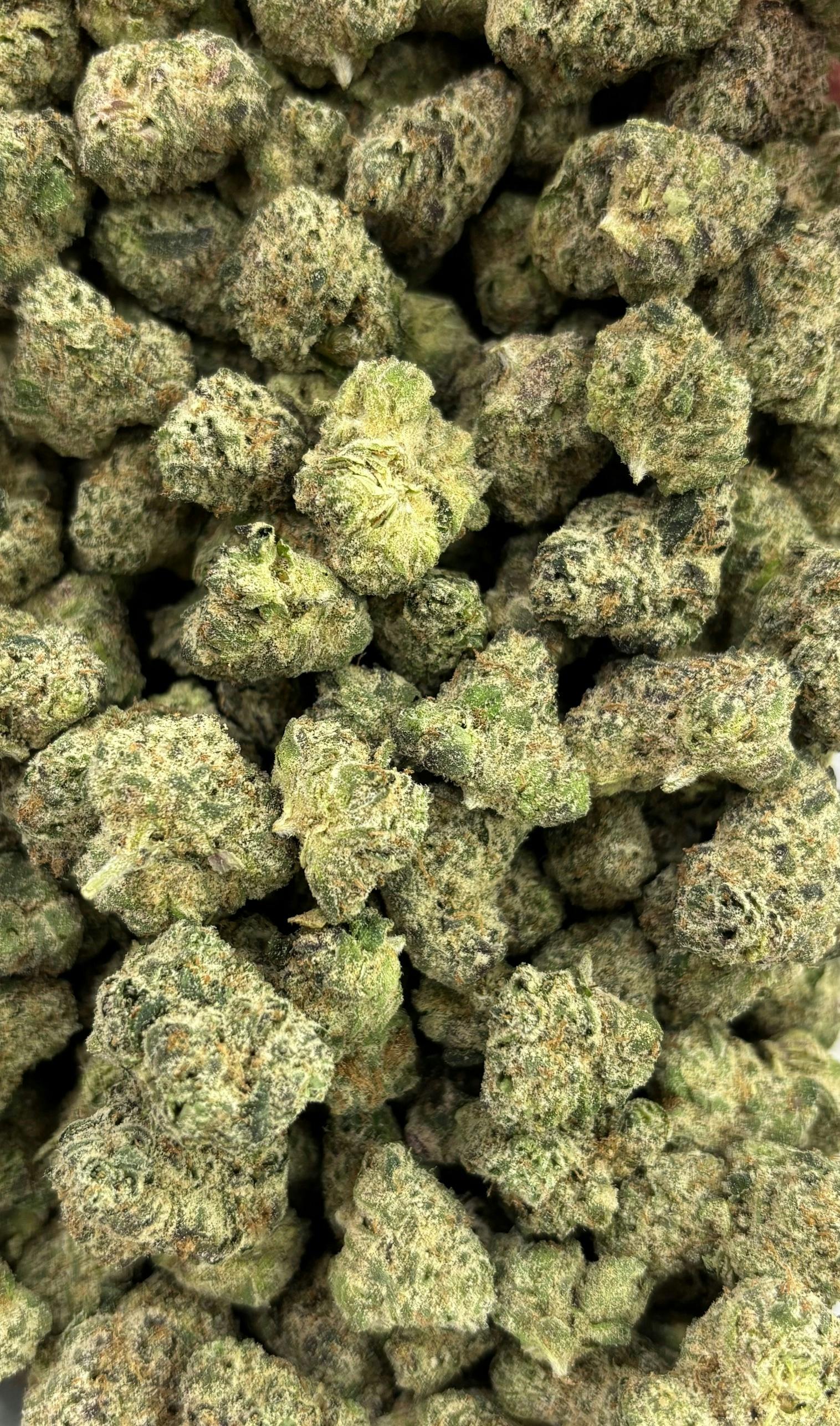 Loud Tier - Vanilla Sunshine - Larry Kush Bulk Buds