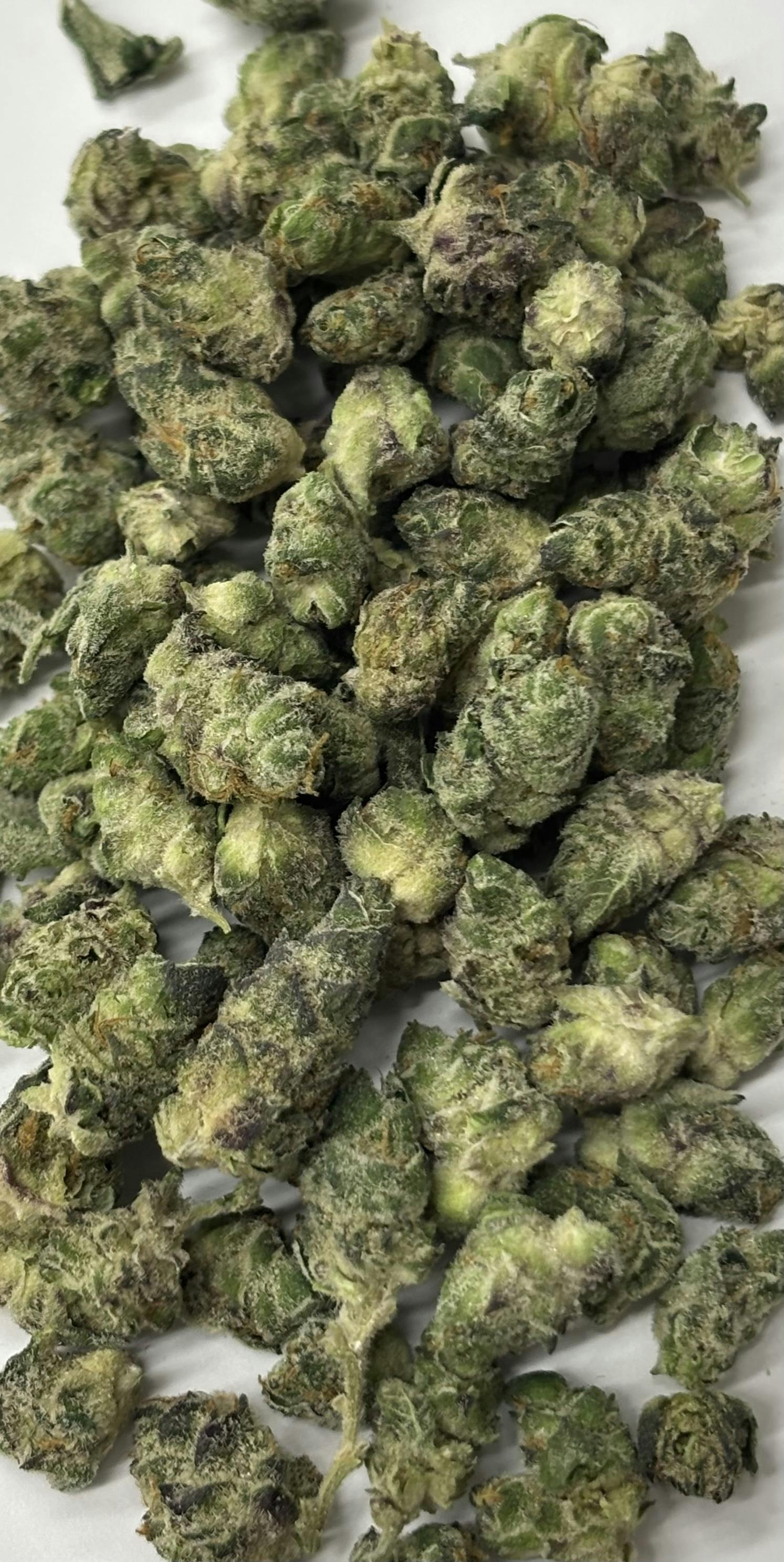 Gas Tier - Vanilla Sunshine - Apple Fritter Bulk Bud