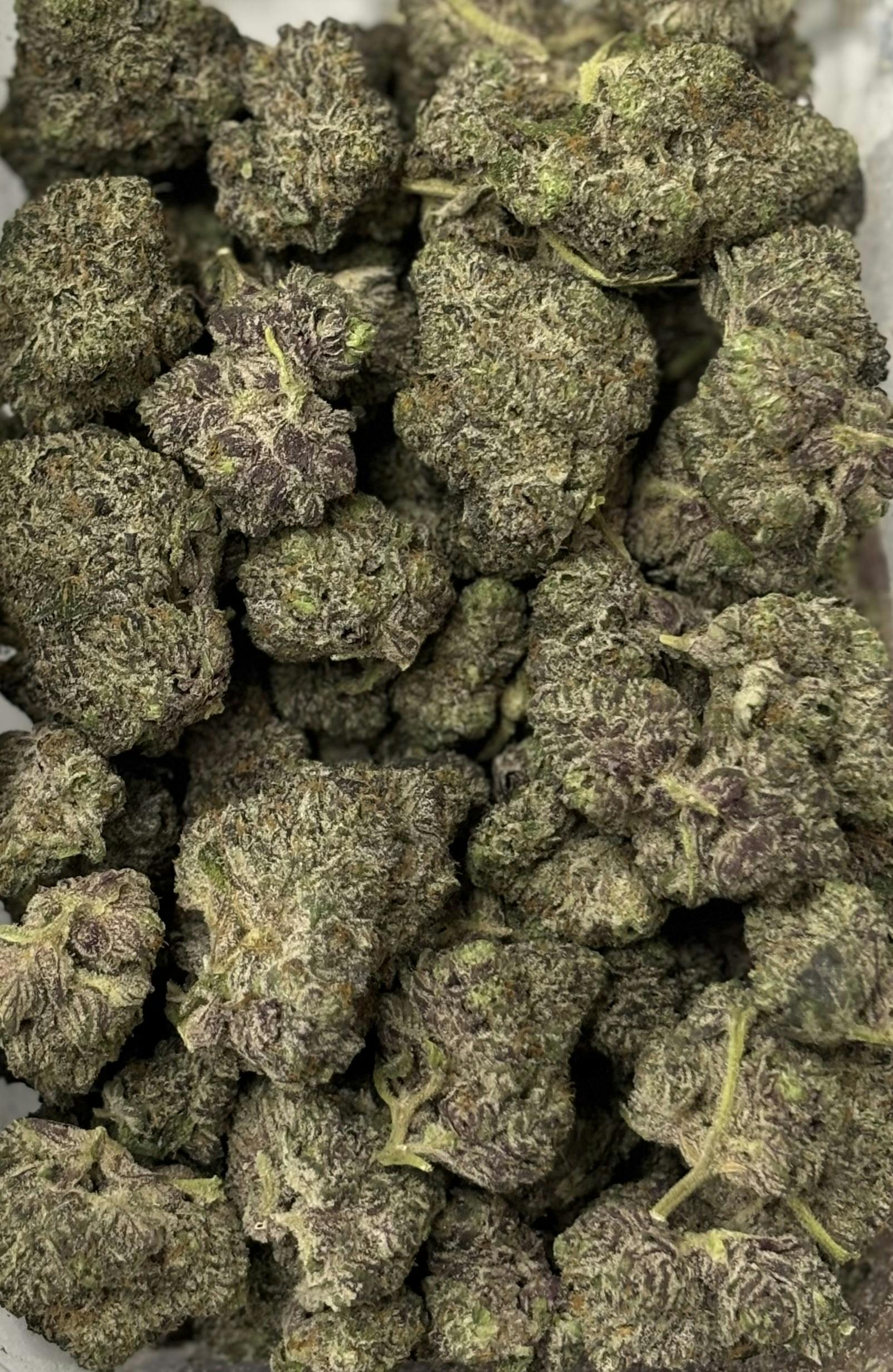 Loud Tier - Hp Labs - Sticky Bunz Bulk Buds
