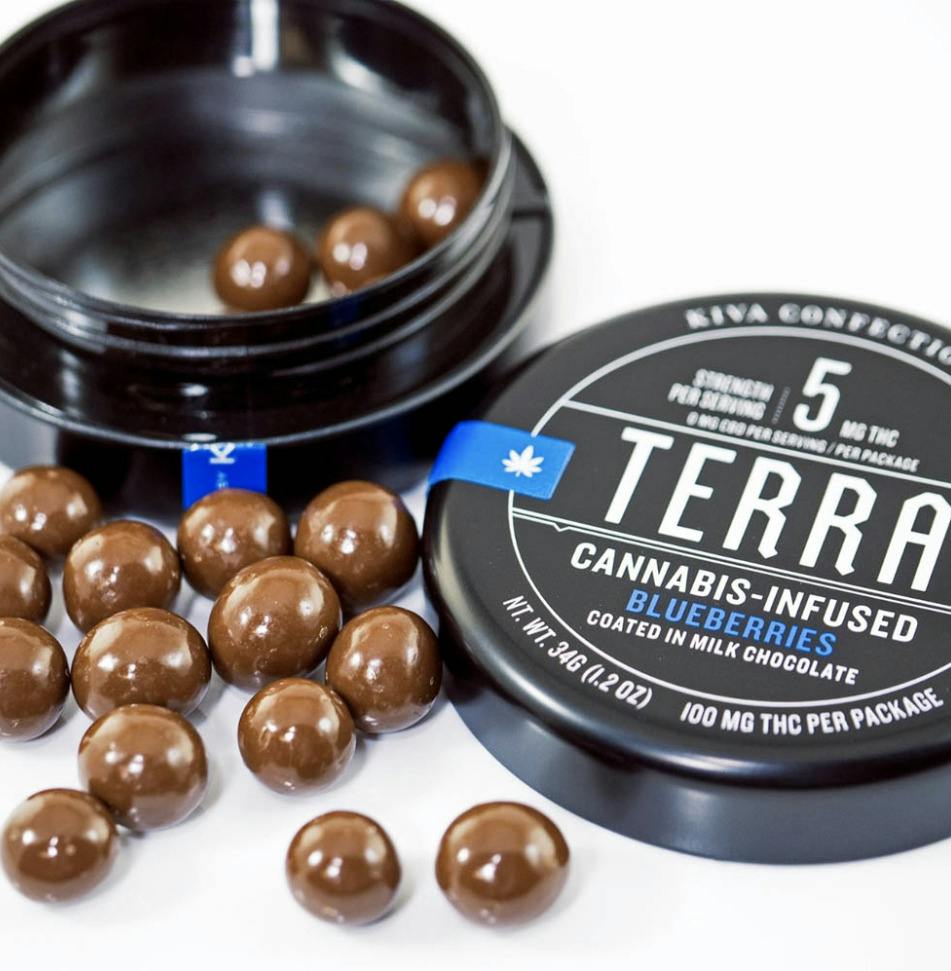 Terra Bites - Blueberry