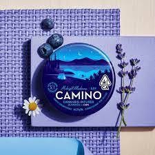 Camino - Midnight Blueberry