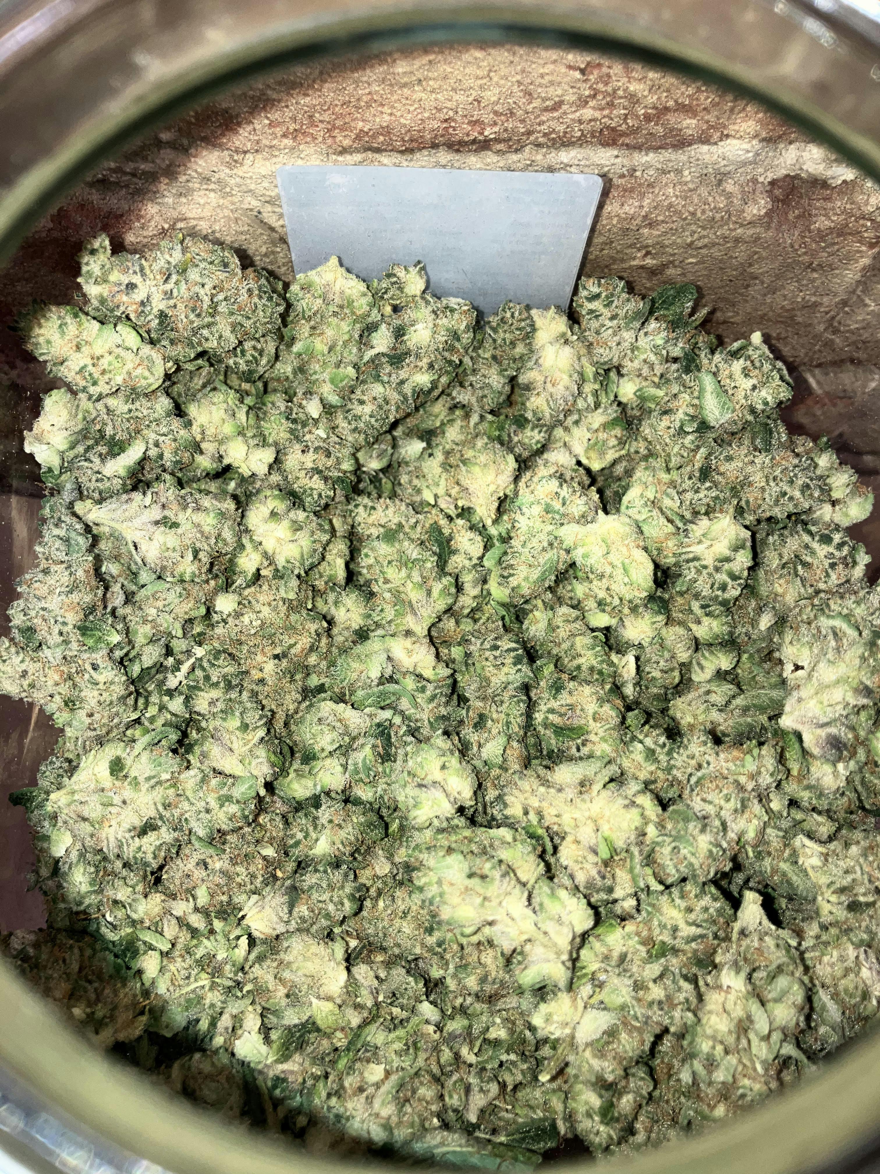Nuclear Power | - 28 g