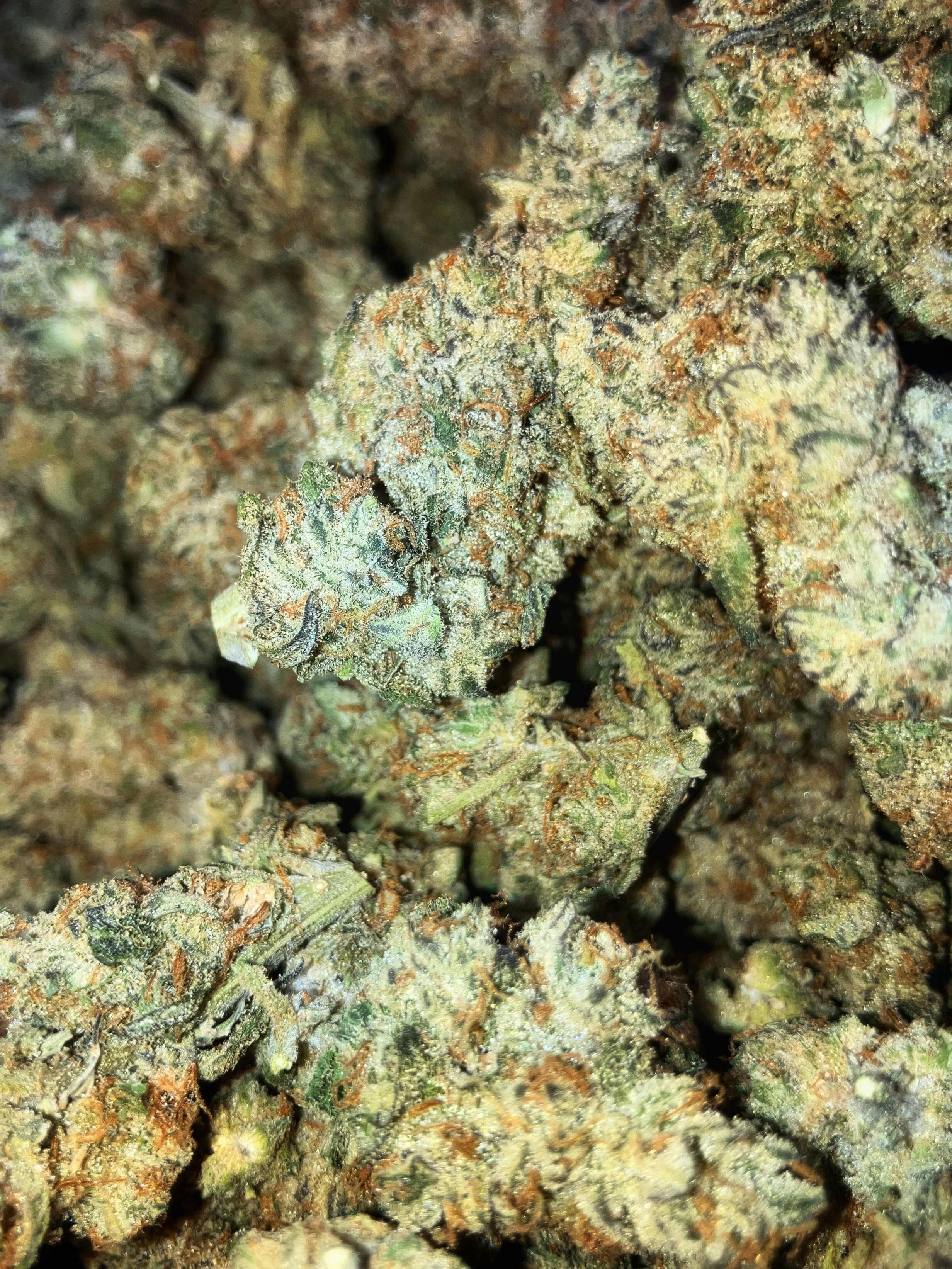 Boss Hog - 1 g
