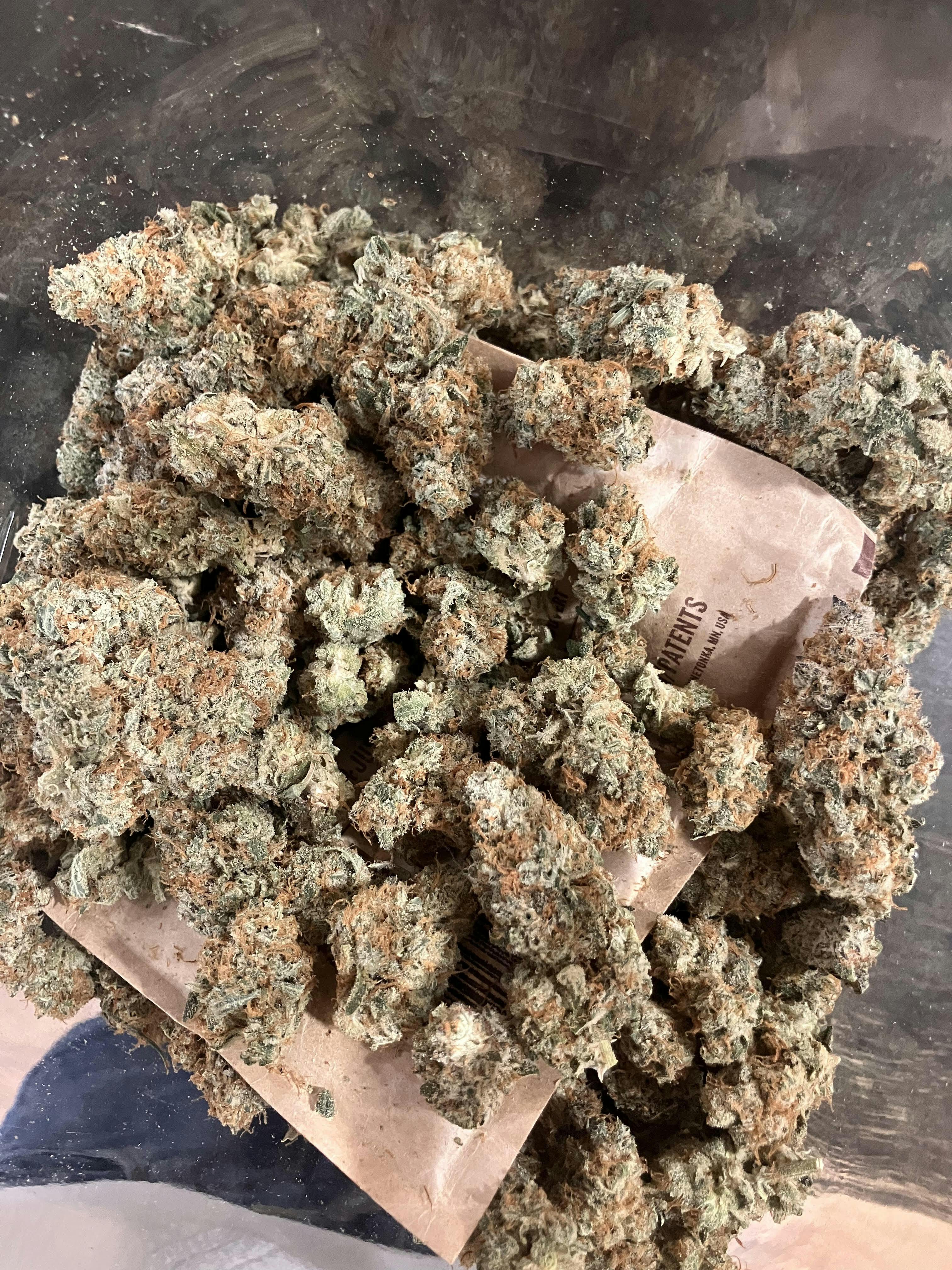 Holy Cure ] 3.5 GRAMS - 3.5 g