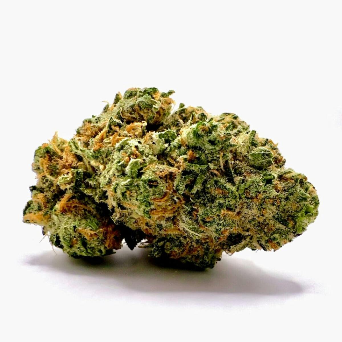 Key Lime Gelato Tier 3