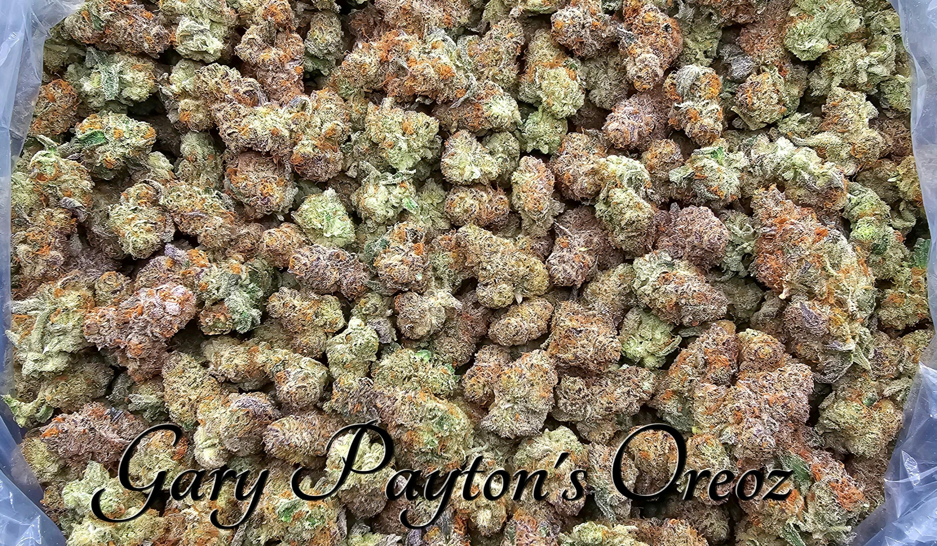 Gary Payton's Oreoz | Buds | 1g