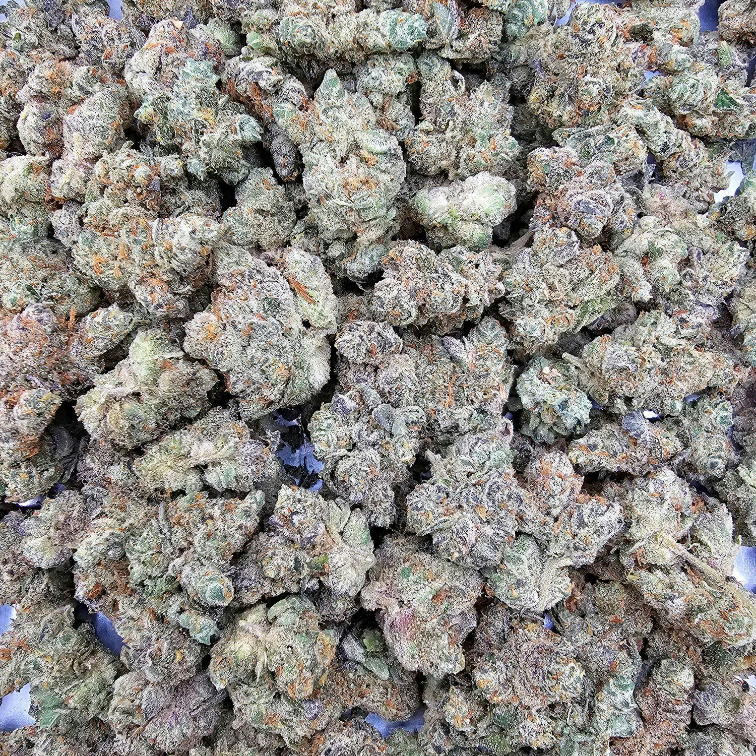 (I) Garlic Cookies Deli by REDOUBT REEFER