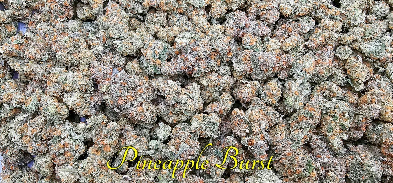 (S) Pineapple Burst Deli by SCORPION GRASS