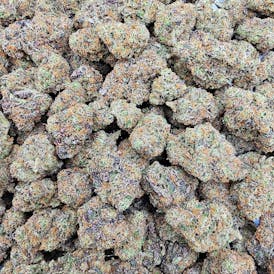 (H) Divine Kush Breath Deli by REDOUBT REEFER