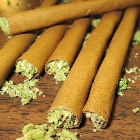 1g Lemon Berry Blunt by HOUSE OP