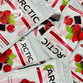 100mg Raspberry Dark Chocolate by ARCTIC BAKERY
