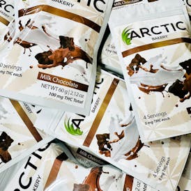 100mg Milk Chocolates by ARCTIC BAKERY