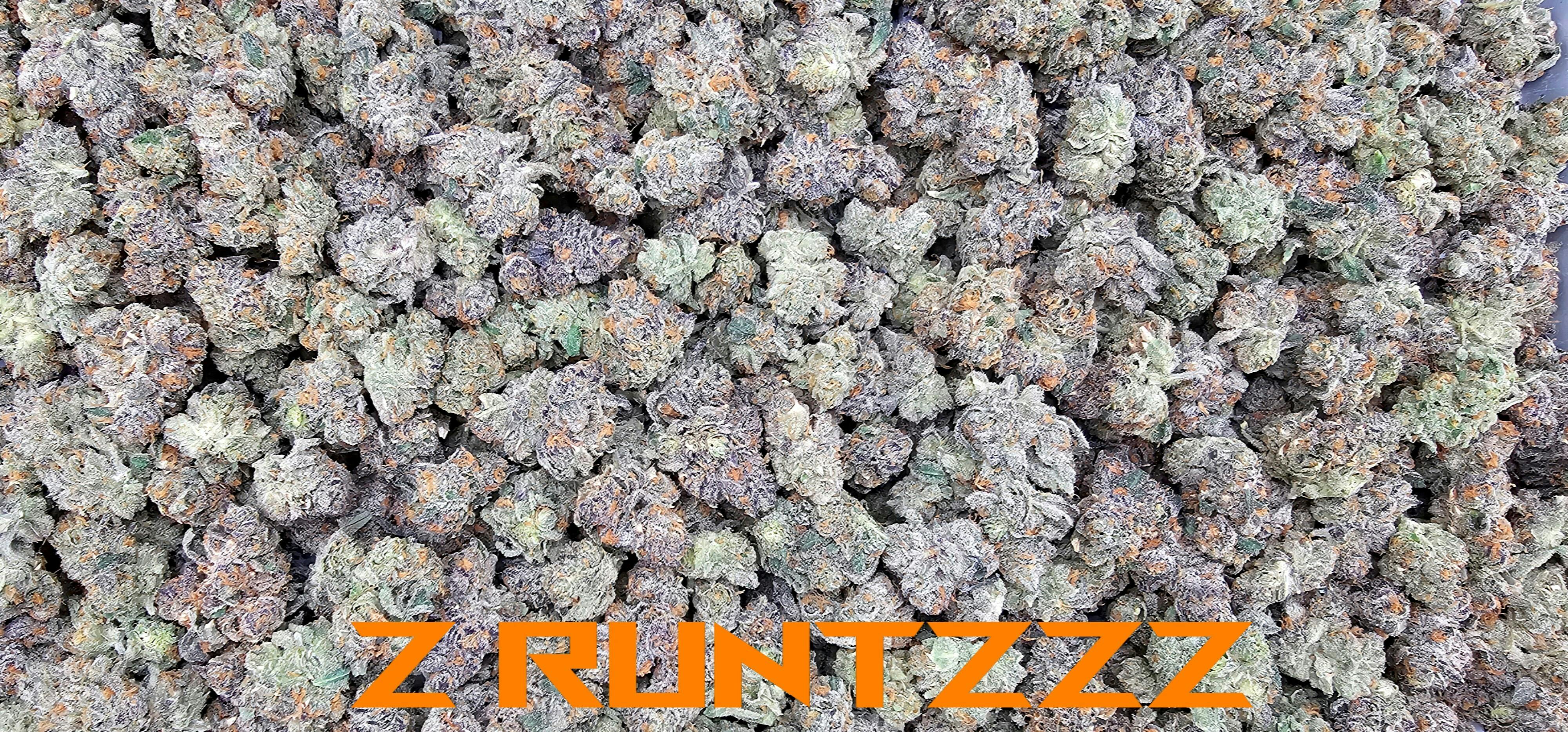(H) Z Runtzzz Deli by SCORPION GRASS