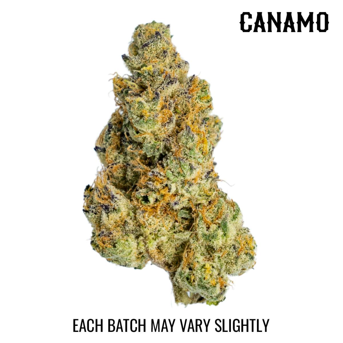 (S) Chewbakka Haze Deli by CANAMO