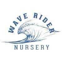 Wave Rider - Pipe Dream — 1 gram