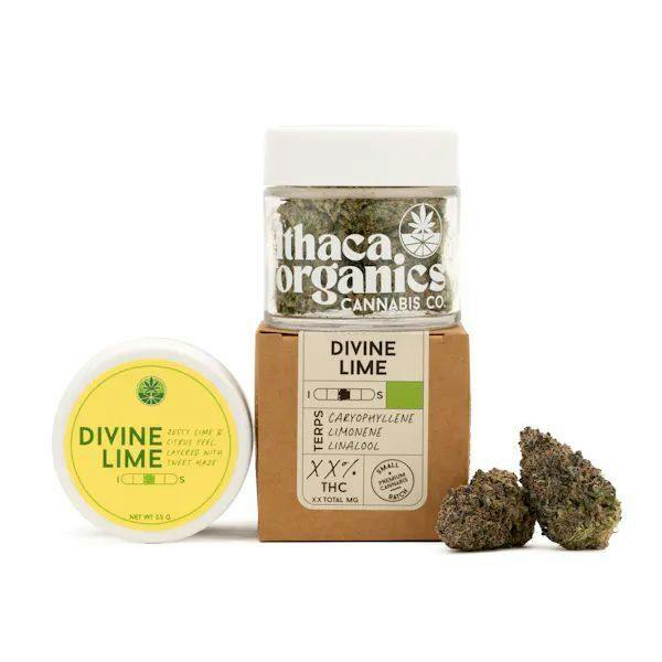 Ithaca Organics | Flower | Divine Lime | 3.5g